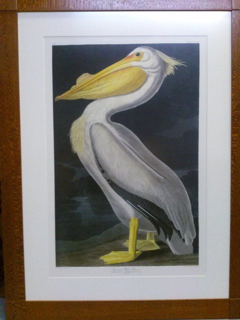 John James Audubon, ‘John James Audubon "American White Pelican" rare nocturnal print Oppenheimer Edition’, Lions Gallery