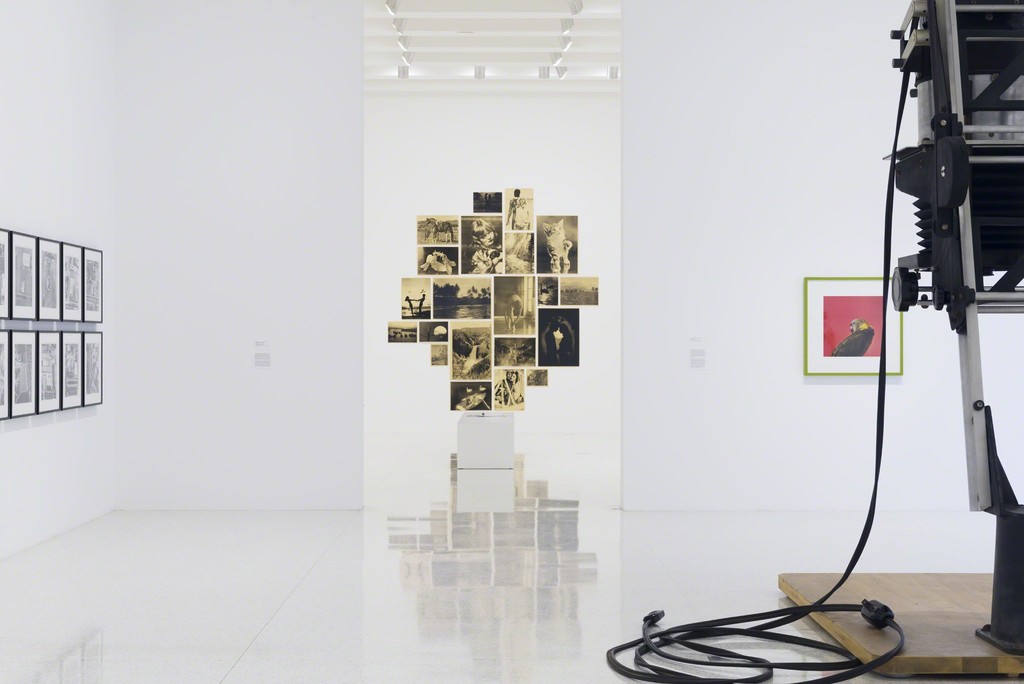 Ordinary Pictures installation view: Photo by Gene Pittman, courtesy Walker Art Center Ordinary Pictures installation view: Photo by Gene Pittman, courtesy Walker Art Center