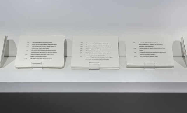 Everything I Know — Zeyno Pekünlü (2015)