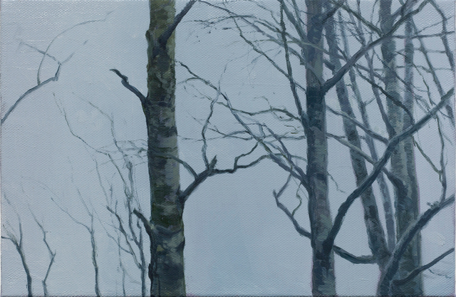 Tommy Hilding, ‘Fraktaler / Fractals’, 2016, Galleri Magnus Karlsson