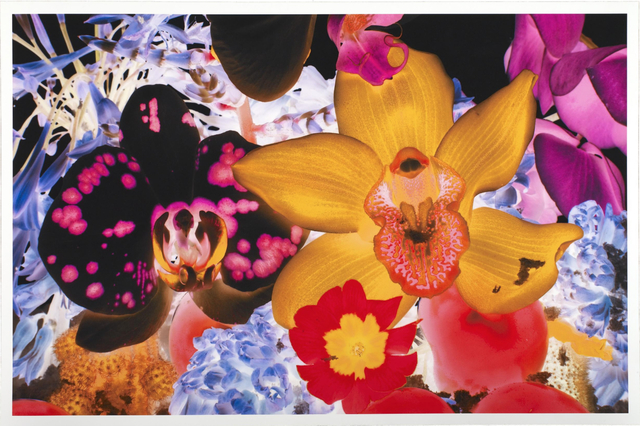 Marc Quinn, ‘At the Far Edges of the Universe V’, 2010, New Gallery of Modern Art