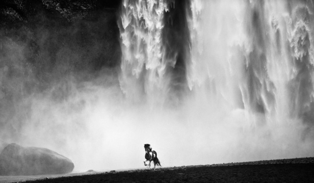 David Yarrow, ‘Wild’, 2012, Photography, Archival Pigment Print, Hilton Asmus
