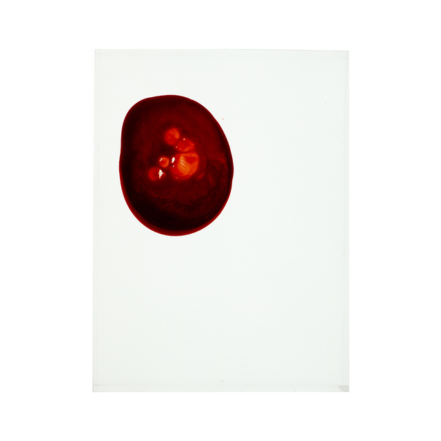 Meaghan Matthews, ‘Confocale Rouge23’, 2019, Elevastor