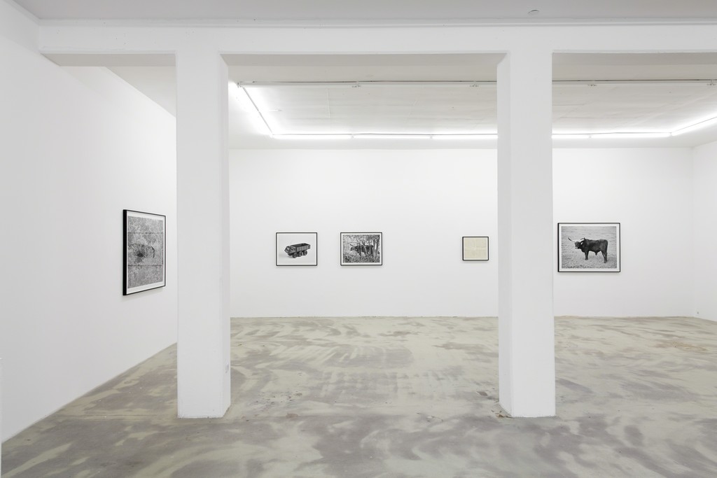 UR, 2015, exhibition view at KLEMM'S Berlin UR, 2015, exhibition view at KLEMM'S Berlin