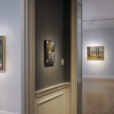 JOHN MORRELL: THREE CITIES: PARIS-DC-OXFORD