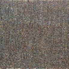 Zhu Xiao He