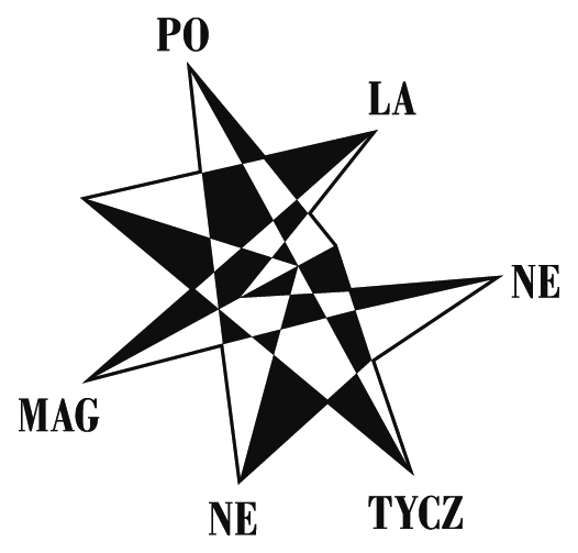 Pola Magnetyczne logo