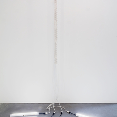 Dana Hemenway