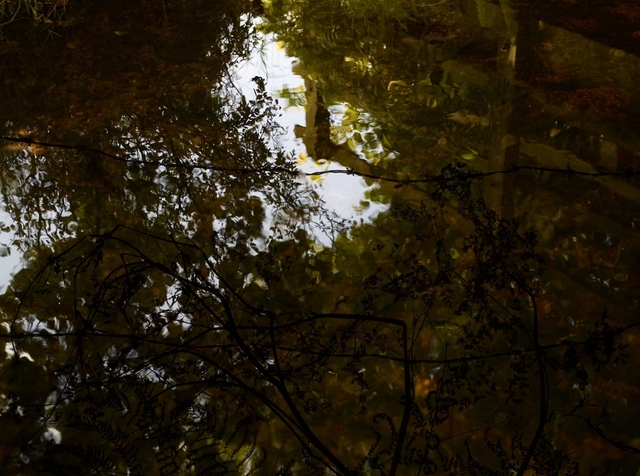 Susan Derges, ‘Love Brook I’, 2011, Osborne Samuel