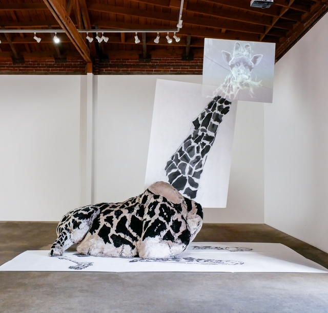 Jenn Berger, ‘Look At Me; Turn Around’, Sculpture, Single channel video projections, charcoal on paper, wood platform, fur on chicken wire and wood., Rosamund Felsen Gallery