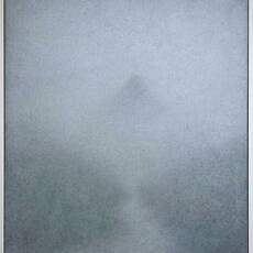 Mark Shields