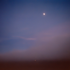 Donna J. Wan