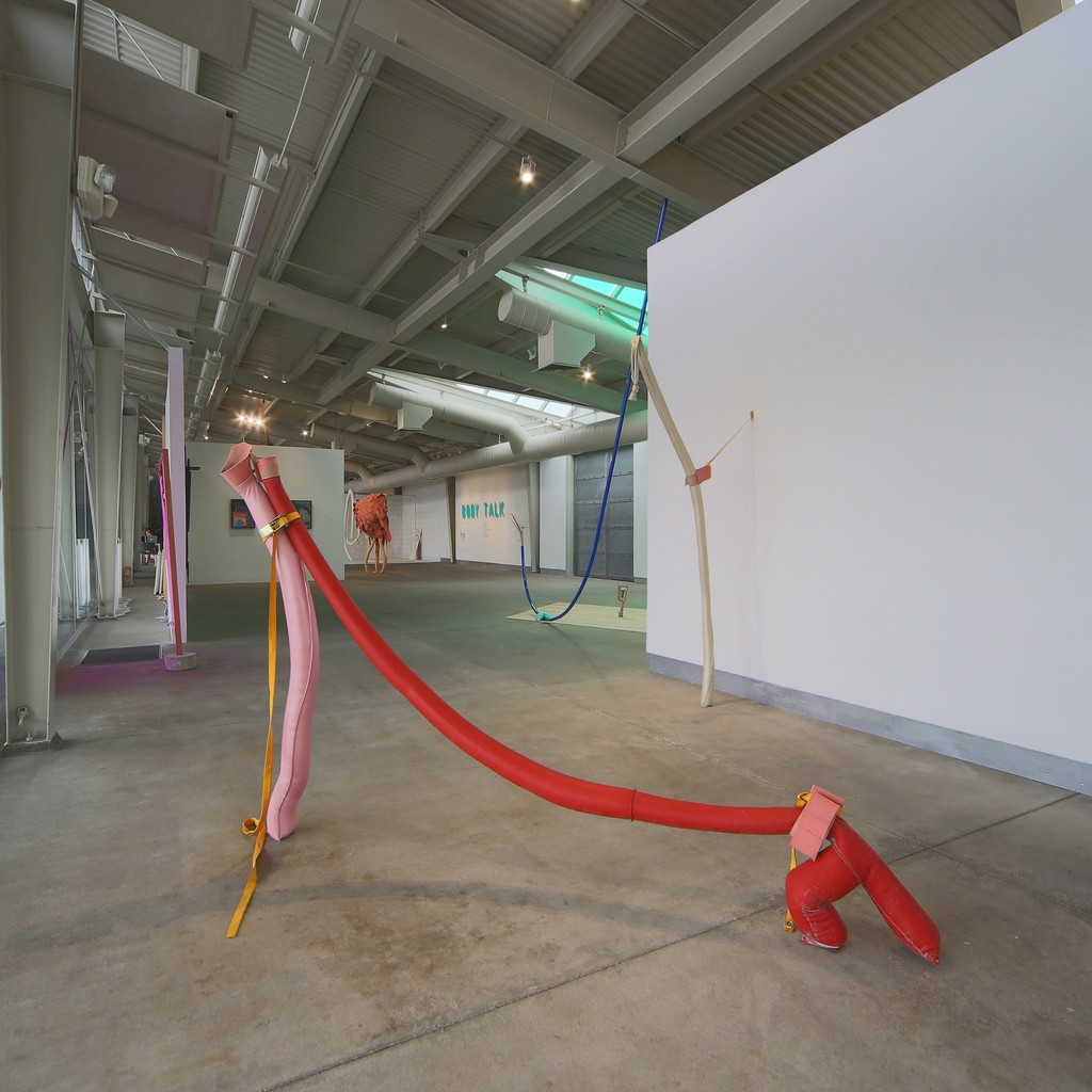 Body Talk installation view, di Rosa, Napa. Photo: Wilfred J. Jones Body Talk installation view, di Rosa, Napa. Photo: Wilfred J. Jones