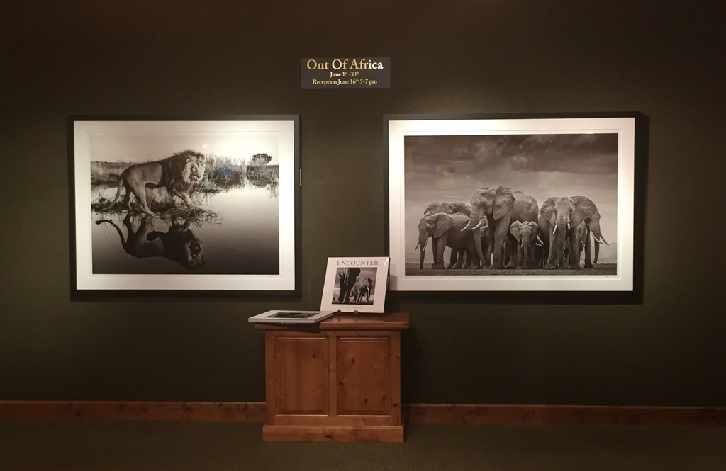 Out of Africa-David Yarrow
Out of Africa-David Yarrow