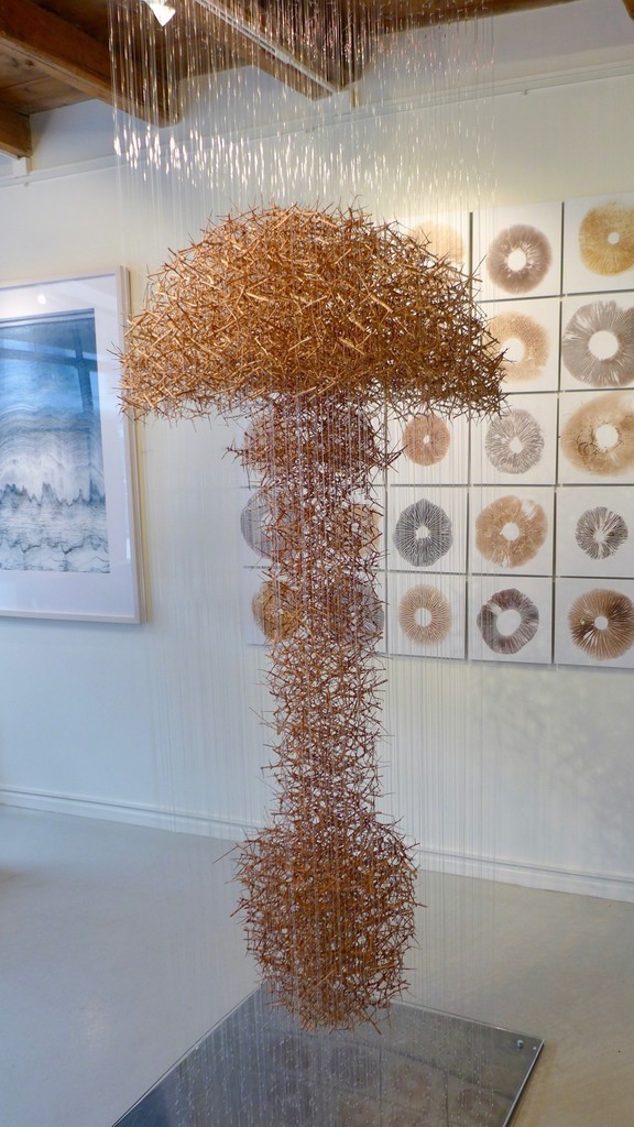 Installation view of " Cloud of Thorns", an installation prepared in the studio for Le Salon Vert. It comprises some 6000 boiled and stripped blackthorn tied to over 300 strands of nylon fishing thread. It is arranged in 12 concentric circles. The form is the mushroom Amanita virosa – “the Destroying Angel” - deadly poisonous. It is suspended slightly above the ground like a cloud. Installation view of " Cloud of Thorns", an installation prepared in the studio for Le Salon Vert. It comprises some 6000 boiled and stripped blackthorn tied to over 300 strands of nylon fishing thread. It is arranged in 12 concentric circles. The form is the mushroom Amanita virosa – “the Destroying Angel” - deadly poisonous. It is suspended slightly above the ground like a cloud.