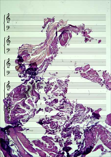 Meat Music