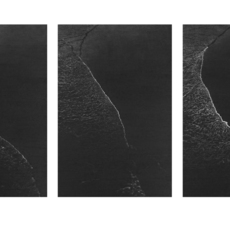 Richard Forster
