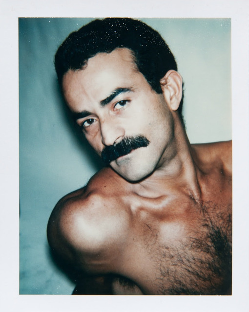Andy Warhol, ‘Sex Parts & Torsos’, 1977, Artsnap