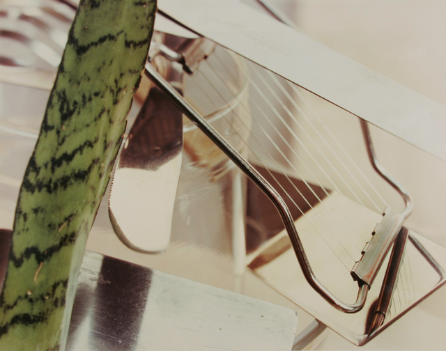 Jan Groover - Art & Prints for Sale | Artsy