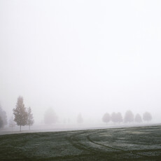 Anna Moller