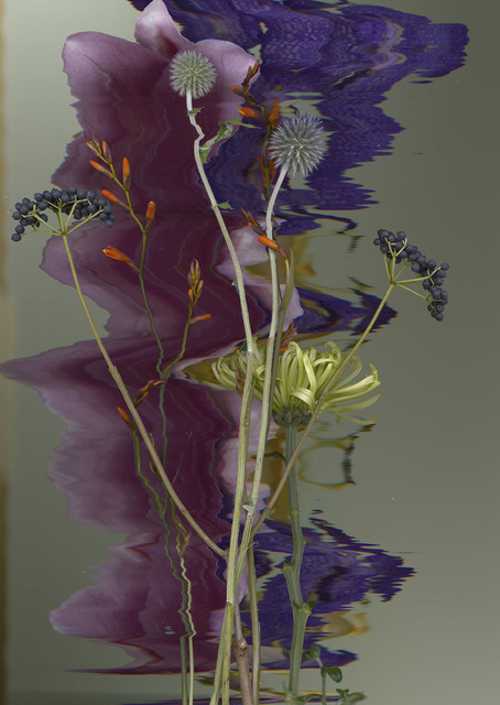 Sandra Kantanen, ‘Distortion 3’, 2016, Purdy Hicks Gallery
