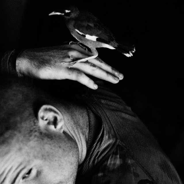 Dima Gavrysh, ‘From the series Inshallah, Finch’, 2011, Photography, Archival Pigment Print, Circuit Gallery