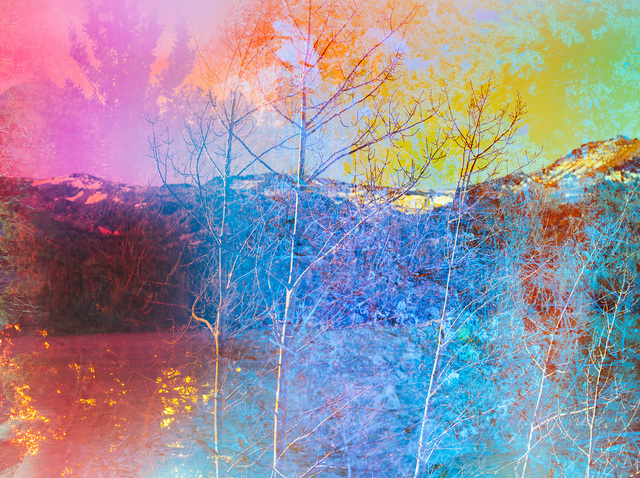 Terri Loewenthal, ‘Psychscape 841 (Silver Lake, CA) 2018’, 2018, CULT | Aimee Friberg Exhibitions