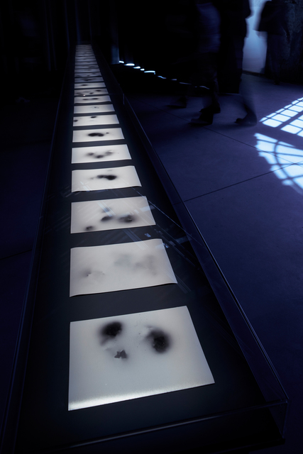 Lina Selander, ‘Excavation of the image - imprint, shadow, spectre, thought (Installation view)’, 2015, 56th Venice Biennale