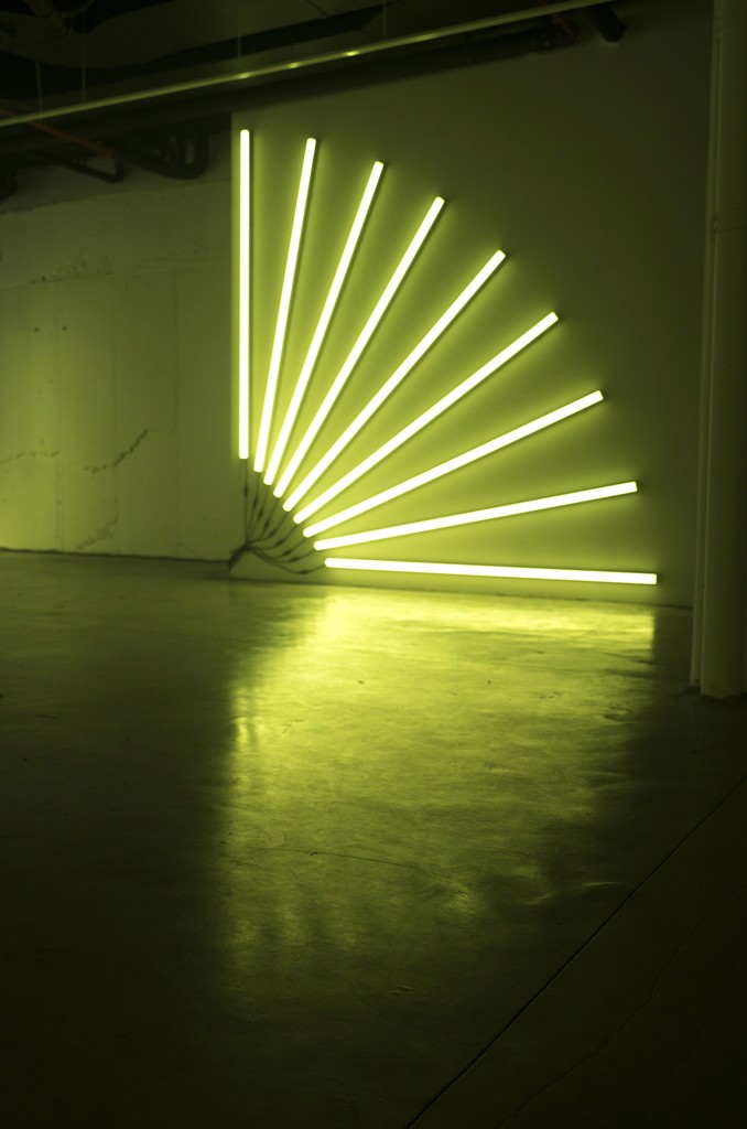 Nitemind, Large Fan, 9 x 7', 9 LEDs, 2017 Nitemind, Large Fan, 9 x 7', 9 LEDs, 2017