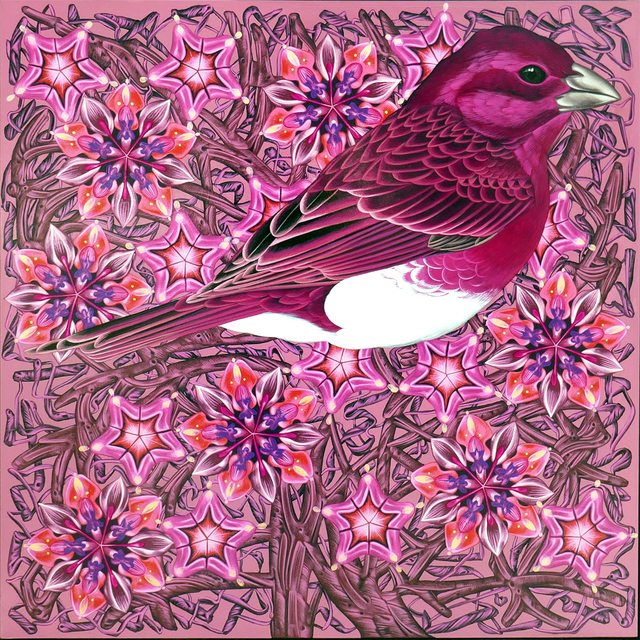 Kevin Veara, ‘Exult #49 Purple Finch’, 2019, Springfield Art Association