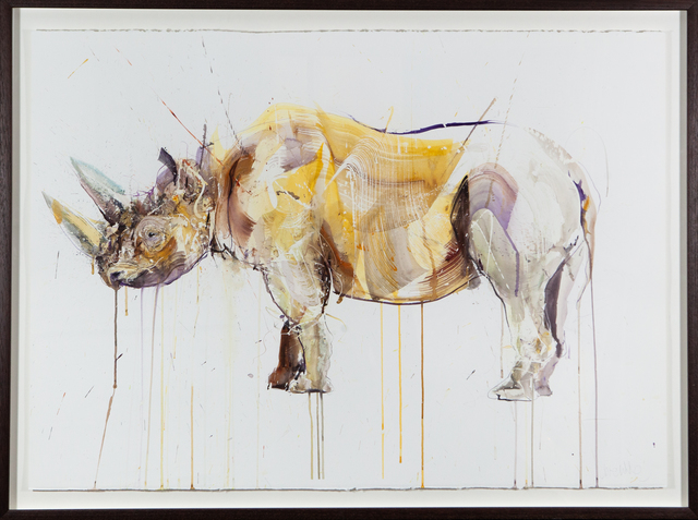 Dave White, ‘Black Rhino’, 2018, Painting, Watercolour on Fabriano Artistico 640gsm Hand Torn edge Paper, The Drang Gallery
