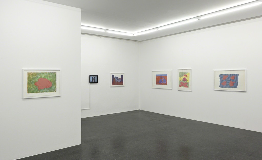 Installation view, Barbara Gross Galerie, 2017
Photo: Wilfried Petzi Installation view, Barbara Gross Galerie, 2017
Photo: Wilfried Petzi