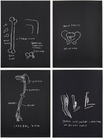 Jean-Michel Basquiat - Femur, Vertical Median; Male Pelvis; Lateral View; and Three Different Conditions of Biceps Muscle,...