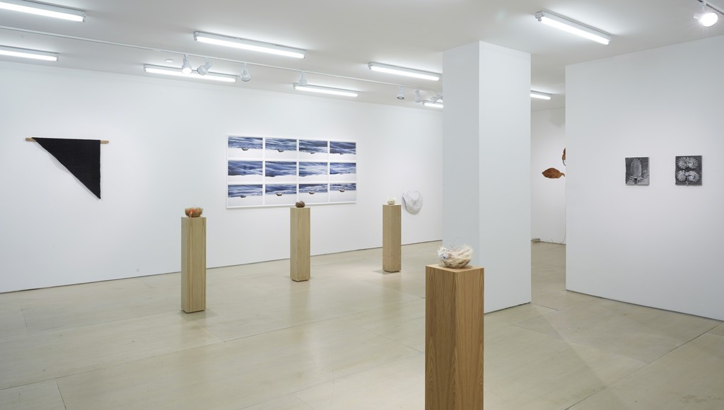 Installation view: Ordering Nature
New York, BOESKY EAST, June 12 – July 31, 2015
Photo credit: Jason Wyche Installation view: Ordering Nature
New York, BOESKY EAST, June 12 – July 31, 2015
Photo credit: Jason Wyche