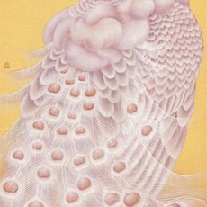 Hsi KUO