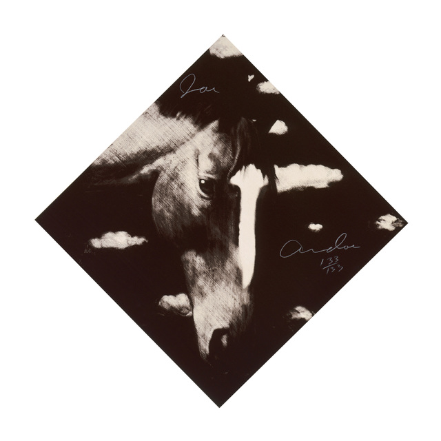 Joe Andoe, ‘Two Horses II’, 1998, Madelyn Jordon Fine Art