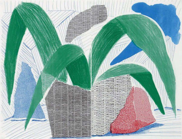 David Hockney, ‘Green Grey & Blue Plant, July 1986 ’, 1986, Kenneth A. Friedman & Co.