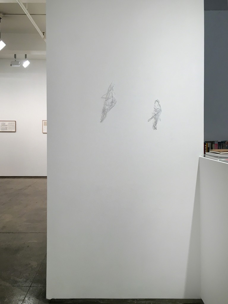 Stefana McClure
Radical Drawings
Installation Stefana McClure
Radical Drawings
Installation