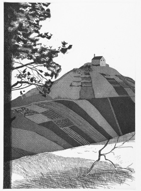 David Hockney, ‘A Wooded Landscape’, 1969, Stubbs Fine Art