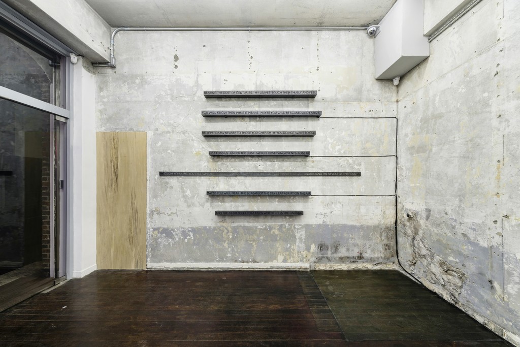 Installation view: Fahrettin Örenli, Nature of Me, P21 (28 February–31 March 2018). Courtesy P21. Installation view: Fahrettin Örenli, Nature of Me, P21 (28 February–31 March 2018). Courtesy P21.