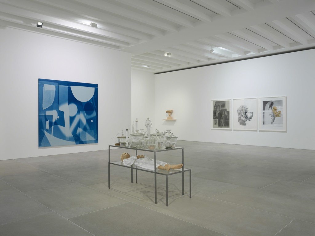 Installation View, Revolt of the Sage, 2016, Courtesy the artist and BlainSouthern, Photo Peter Mallet (9) Installation View, Revolt of the Sage, 2016, Courtesy the artist and BlainSouthern, Photo Peter Mallet (9)