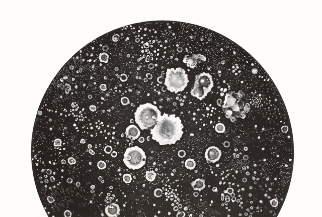 Kirsten Furlong, ‘Over the Edge of the World #1’, 2019, Drawing, Collage or other Work on Paper, Monotype on paper, Olson Larsen Gallery