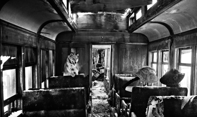 David Yarrow, ‘Ride The Ghost Train’, 2015, Photography, Archival Pigment Print, Samuel Lynne Galleries