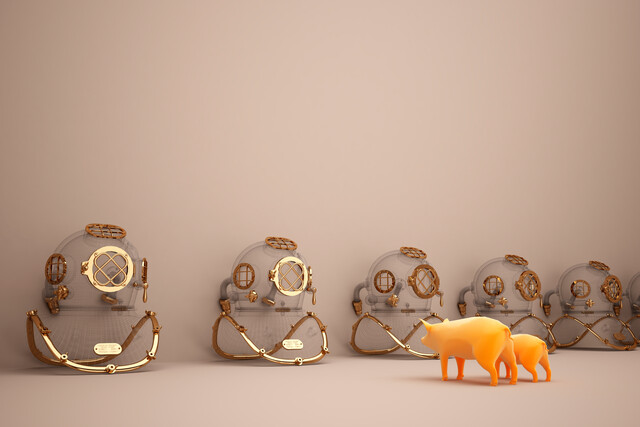 Pigs and Diving Helmets