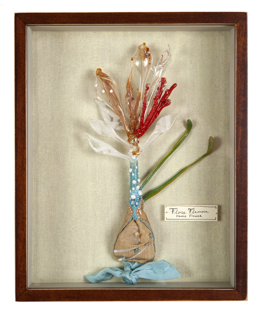 Katerina Lanfranco, ‘Flora Flamma (Flame Flower)’, 2013, Nancy Hoffman Gallery