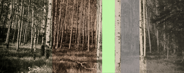 Dianne Bos, ‘Panoramic Aspens’, 2014, Newzones