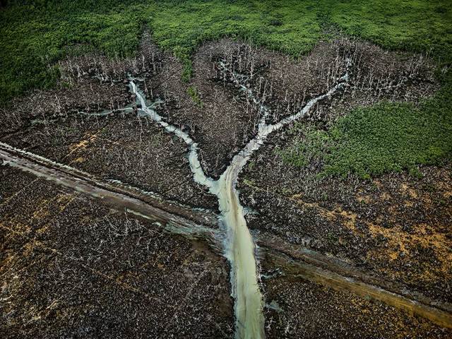 Edward Burtynsky, ‘Oil Bunkering #2, Niger Delta, Nigeria’, 2016, Photography, Chromogenic color print, Sundaram Tagore Gallery
