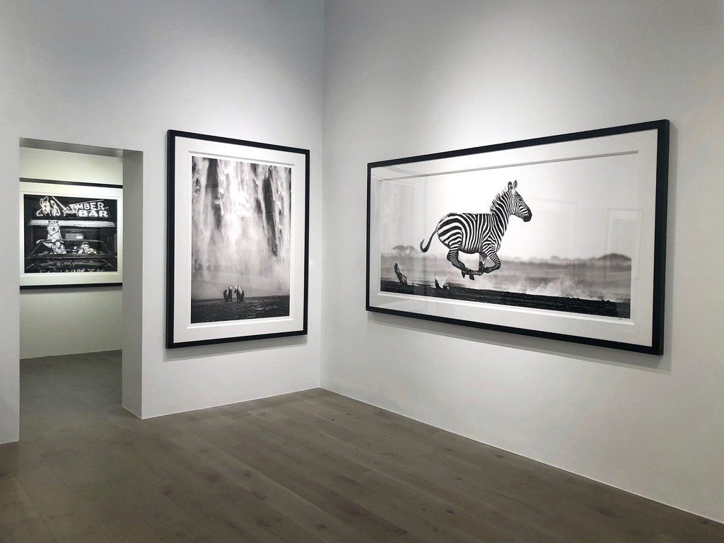 David Yarrow: Off Road & After Hours: Coyote Ugly, 2019; The Dream, Iceland, 2018; Dessert Flight, Amboseli, Kenya, 2014 David Yarrow: Off Road & After Hours: Coyote Ugly, 2019; The Dream, Iceland, 2018; Dessert Flight, Amboseli, Kenya, 2014