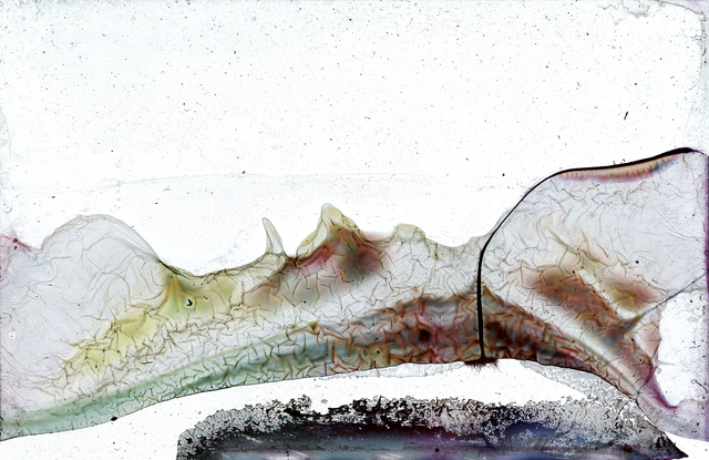 Wolfgang Ganter, ‘untitled (cerebrum film)’, 2017, galerie burster