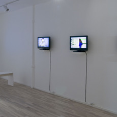 Jaime Davidovich